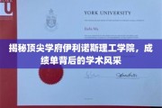 解码伊利诺斯理工学院，揭秘学霸背后的学术璀璨星空