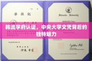 解码韩流精英摇篮，中央大学文凭的非凡吸引力