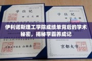 揭开伊利诺斯理工学霸的秘密，揭秘顶尖成绩单背后的学术奥秘